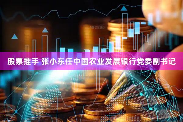 股票推手 张小东任中国农业发展银行党委副书记