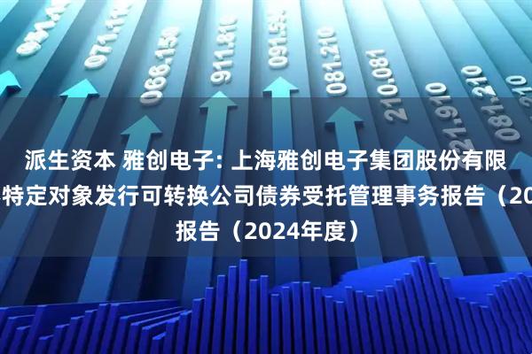 派生资本 雅创电子: 上海雅创电子集团股份有限公司向不特定对象发行可转换公司债券受托管理事务报告（2024年度）