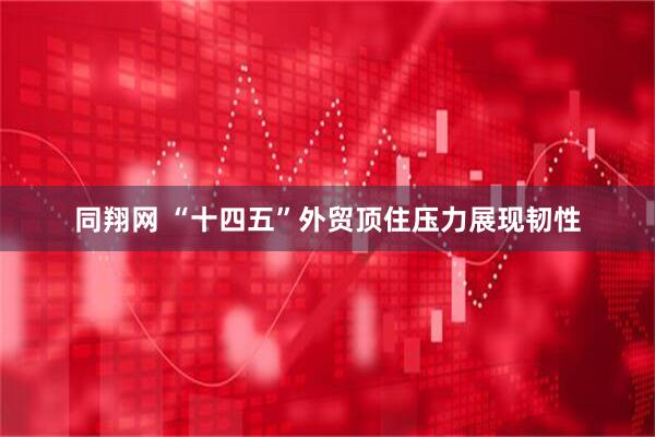 同翔网 “十四五”外贸顶住压力展现韧性