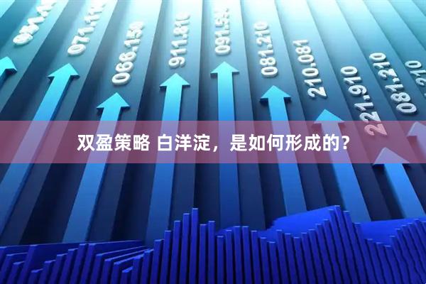 双盈策略 白洋淀，是如何形成的？