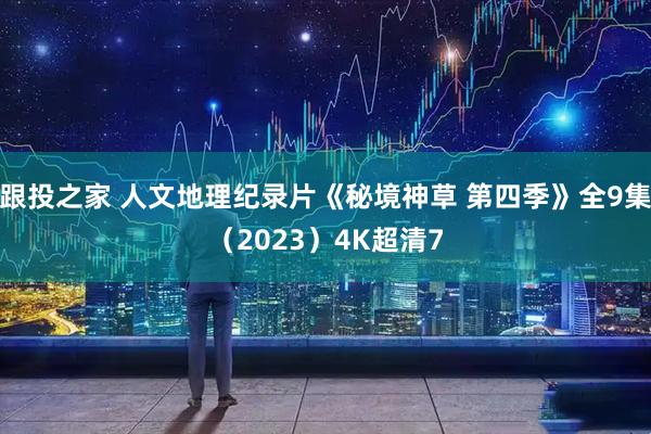 跟投之家 人文地理纪录片《秘境神草 第四季》全9集（2023）4K超清7