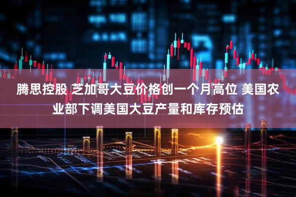 腾思控股 芝加哥大豆价格创一个月高位 美国农业部下调美国大豆产量和库存预估
