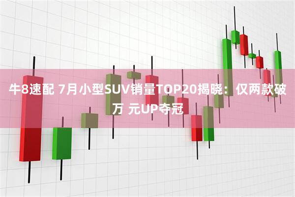 牛8速配 7月小型SUV销量TOP20揭晓：仅两款破万 元UP夺冠