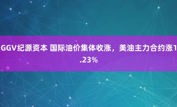 GGV纪源资本 国际油价集体收涨，美油主力合约涨1.23%