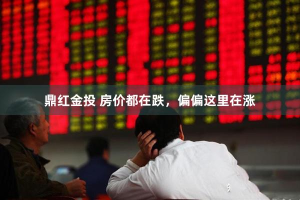 鼎红金投 房价都在跌,偏偏这里在涨